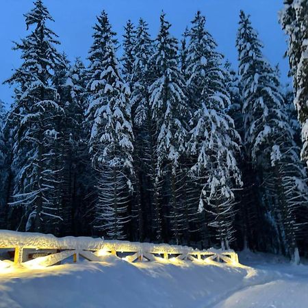 Хижа Чучулига Паничиште Екстер'єр фото