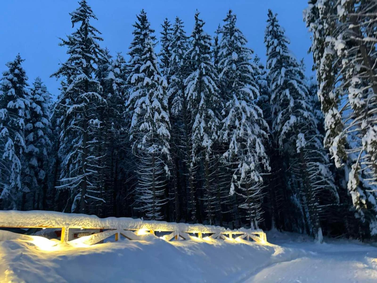 Хижа Чучулига Паничиште Екстер'єр фото