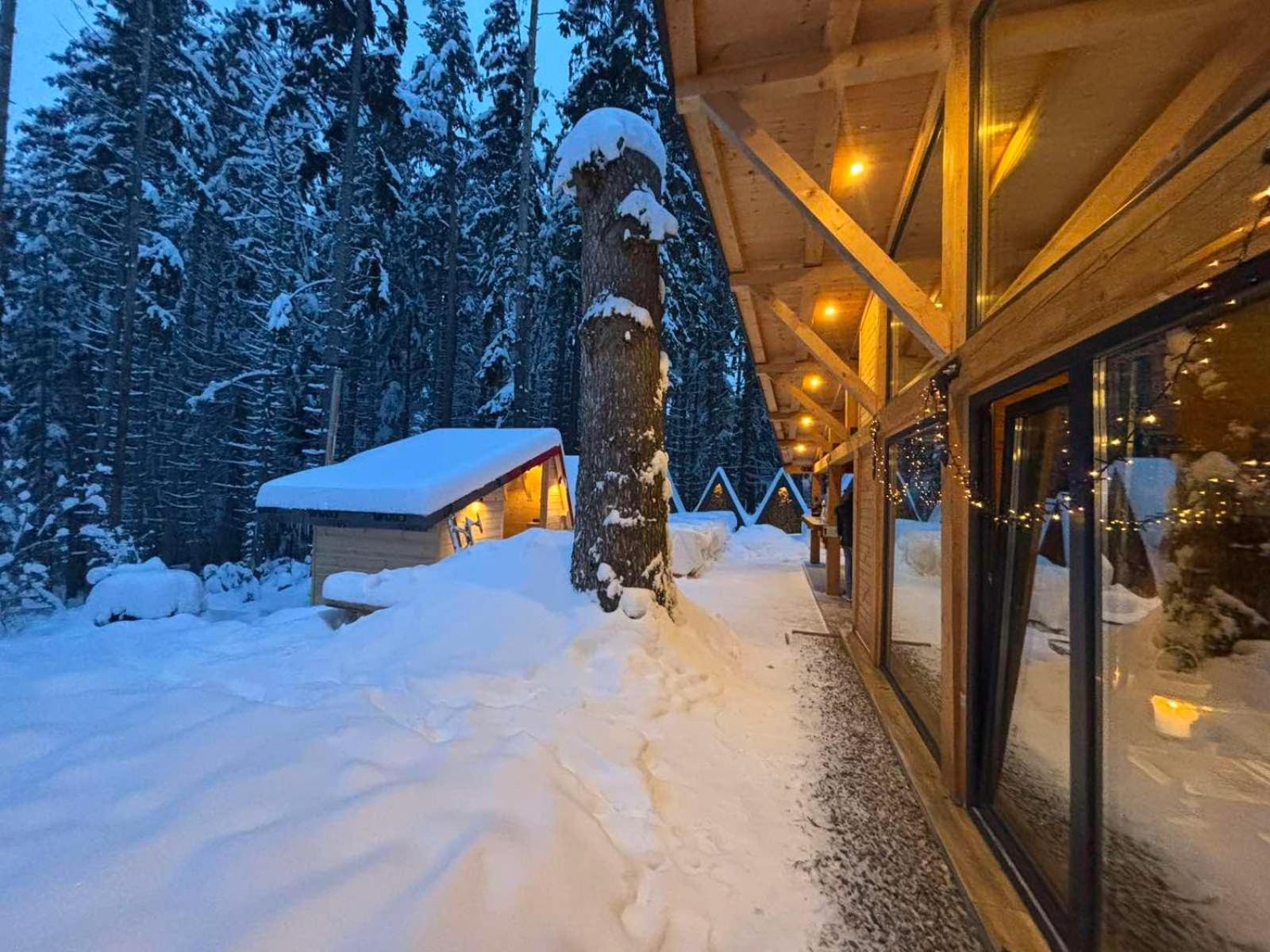 Хижа Чучулига Паничиште Екстер'єр фото